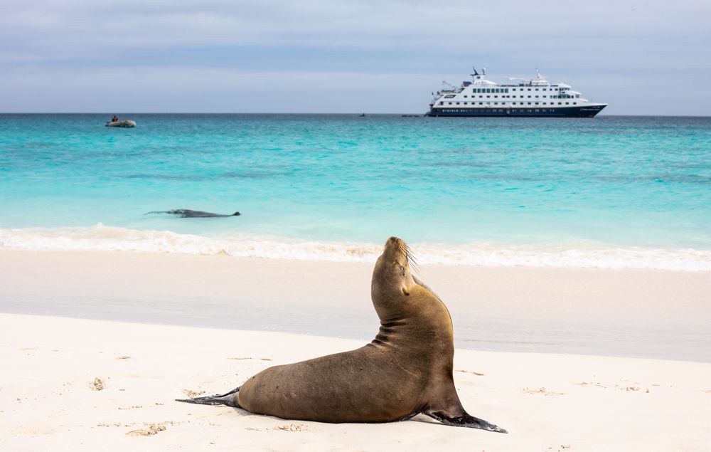 Islands of Wonder: Galapagos Cruises